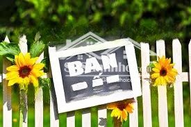 bán đất phạm văn đồng, xây ccmn, ngõ thông kinh doanh, ô tô đỗ cửa, 60m2, mặt tiền 5.8m, 12.5 tỷ