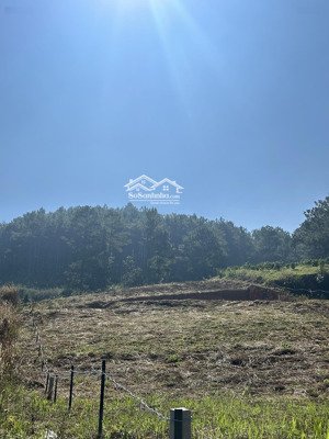 đất nghỉ dưỡng view đồi thông chỉ 2,4 tỷ cách đà lạt 27km khí hậu mát mẻ quanh năm diện tích