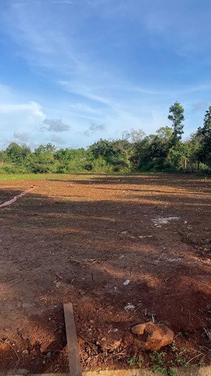 cần bán đất chính chủ cư suê, cư mgar, đắk lắk 124,4m2 (60m2 thổ cư)