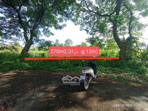 mở bán đất nền f0 tại đường tam đa, trường thạnh, thủ đức dt 270m² full thổ cư, giá chỉ 4,22 tỷ.