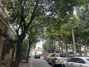 biệt thự đáng sống nhất mỹ đình i view vườn hoa đường rộng vỉa hè
