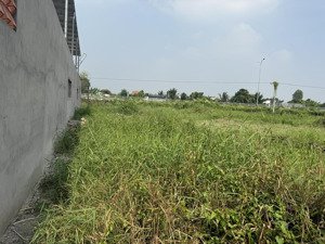 chính chủ bán đất thổ cư 223m2 phước lý - cần giuộc - ngay giáp ranh bình chánh