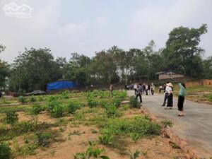 ĐẤT F0 VEN KCN TAM DƯƠNG - CHỈ TỪ 5XX TRIỆU/LÔ - FULL THỔ CƯ 100%