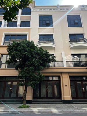 chính chủ bán biệt thự tại vinhomes ocean park 2 giá chỉ 9,6 tỷ, 65m2, đẹp, gần nhiều tiện ích