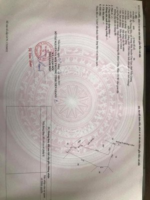 tìm chủ mới cho mảnh đất vườn 910m2 ở trung hòa, chợ gạo, tiền giang với giá cực kỳ rẻ