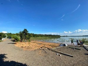 em chính chủ bán lô vườn bưởi 8700m2, trên đất đang trồng bưởi 7 năm tuổi, cách chợ mã đà 5km