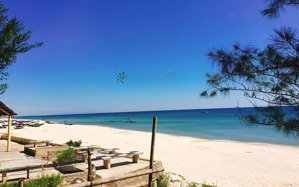 bán đất tmdv biển hải ninh, quảng ninh, quảng bình. 960m2, 10,5 tỷ.