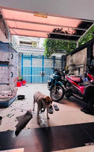 bán nhà quận 8, phường 2, nguyễn thị tần, hẻm xe hơi, 110m2, ngang 4.5m, nhích 12 tỷ