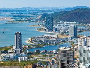 bán ô đất nền dự án cái dăm geleximco, 334m2 bãi cháy, hạ long