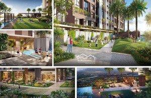 đừng mua green skyline khi chưa xem tin này, độc quyền giỏ hàng gđ đầu. gọi ngay: 