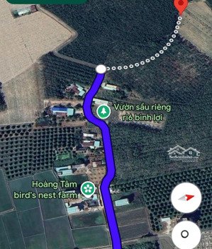 bán đất vườn 1000m2 có 50 m2 thổ cư tại hảo đước, châu thành, tây ninh, 379 triệu