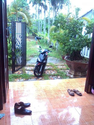 cho thuê nhà ở gia đình nguyên căn lâu dài phường nghĩa chánh tp quảng ngãi, tỉnh quảng ngãi