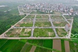 giảm sâu! bán lô đất đấu giá x1 lê xá sổ đẹp vuông vức giá hiếm trong khu vực hướng đông nam tốt