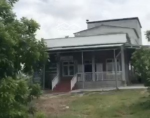 16.000m2 bất động sản trang trại - nhà yến - nhà ở