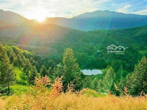 gần 3ha sầu lâu năm khánh trung _ thu hoạch mạnh mẽ giáp suối 300m siêu mê ,ô tô vi vu giá: 6,99 tỷ