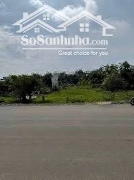 đất thổ cư lộc giang sổ riêng, xây dựng tự do