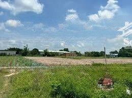 đất full thổ cư lộc giang vị trí đẹp, đường thông