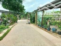 đất thổ cư diện tích lớn lộc giang tiềm năng tăng giá