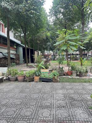 Đất Thủ Dầu Một 5x25m – Mặt Tiền Đường 7m – Ô Tô Quay Đầu