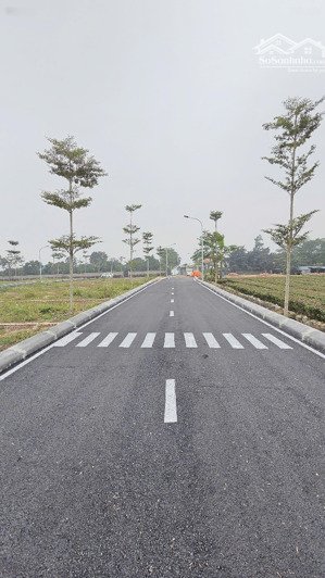 chính chủ e bán lô đất đối diện khu công nghiệp 530ha chỉ 490tr lô 150m2, full thổ cư