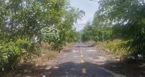 chính chủ bán đất dự án trung tâm cam đức, ngay mặt tiền đinh tiên hoàng