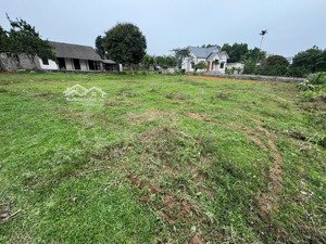 đất đầu tư nghỉ dưỡng yên bài, tp hà nội