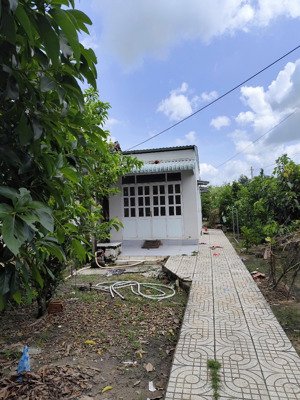 bán đất tại an phú, củ chi, hcm, 2,1 tỷ, 440,5m2 hàng hot