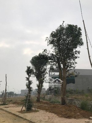 bán biệt thự view đẹp tại kosy mountain view, đường a3, bình minh, lào cai, 9 triệu / m2, 337 m2