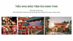 mở bán t&t millennia tiểu khu stella wellness 27/12 nhận booking chọn căn đẹp ck 1.5% lúc mở bán