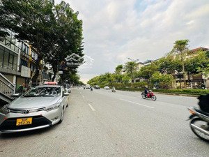 siêu phẩm mặt đường võ chí công 58m2 - 5 tầng thang máy thông sàn, mặt tiền 8m - kinh doanh đỉnh