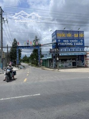 chính chủ cần bán gấp vườn dừa 3000m2 bến lức