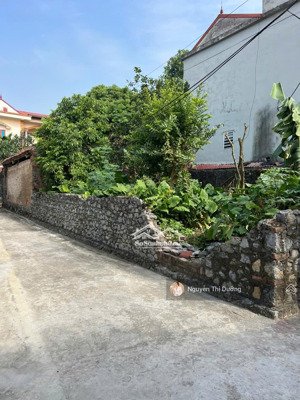 lô góc 77m² ô tô vào tận đất, giá nhỉnh 900 triệu tại thôn đông bình, xã hùng tiến, mỹ đức