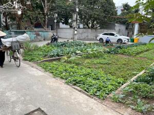 Bán lô 65,8m2 tại Như Quỳnh, Hưng Yên, Khu vực trung tâm, 0835459289