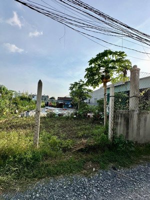 bán đất xã mỹ hạnh bắc, gần ngả 3 mỹ hạnh thổ cư 135m2, 1 sẹc tràm lạc giá 1 tỷ 050. lh 