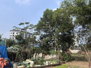 rẻ nhất khu vực 115m2 sát tđc bình yên. gần quy hoạck đường lớn phù hợp xây trọ đầu tư