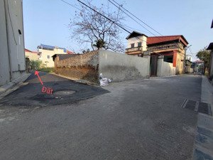 chính chủ em cần bán 40,4m tại đình trung, thư lâm, đông anh nhỉnh 2 tỷ