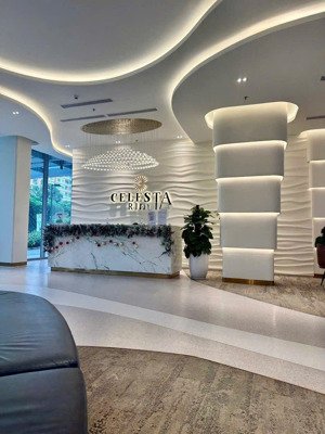 cho thuê căn hộ 2 phòng ngủ mới 100% celesta rice giá 13 triệu