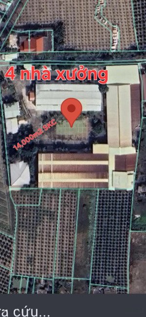 bán xưởng 1,4ha, đất skc, 2mt 827, xã bình tâm, tptân an, long an