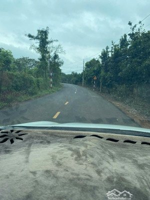 bán đất 7096m2 (70x102)m tại đường 329, xuyên mộc, bà rịa vũng tàu, giá siêu hời 700tr/ 1000m2