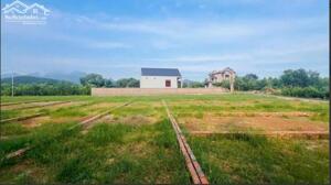  Chỉ Còn 1 Lô Duy Nhất 195 Triệu – Khu An Bình, Lạc Thủy 