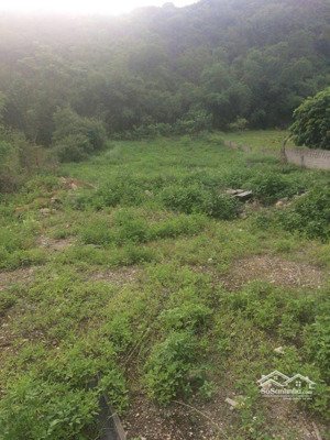 vỡ nợ cần bán gấp lô đất giảm 2 tỷ diện tích 2300m2, lô đất đẹp đường 20m phường đông sơn, bỉm sơn