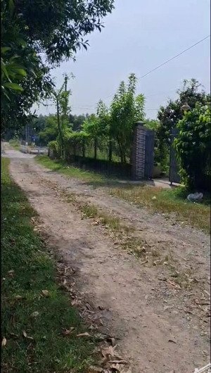 chuyển nhượng 3561m2 đất cây lâu năm đường hùng vương phước an đồng nai