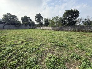 bán lô đất nghỉ dưỡng 720m - 150m thổ cư xã yên bài ba vì hà nội