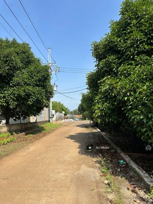 chốt nhanh nền thổ cư cuối năm, cạnh bên sân bay long thành, giá cực mềm chỉ 775tr trọn sổ