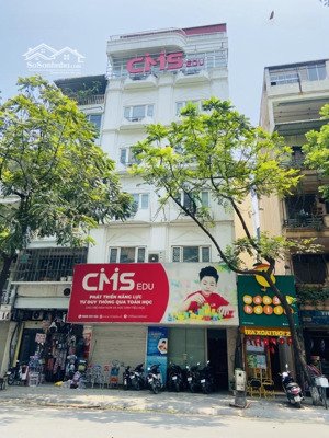 mặt phố trần thái tông- dịch vọng- cầu giấy, mặt tiền 7,5m, 129m2- 76 tỷ