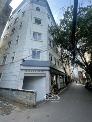 tòa chdv 212 nguyễn trãi - q1 - dt 9mx20m - hầm 6 tầng - 46 chd - giá 50,5 tỷ