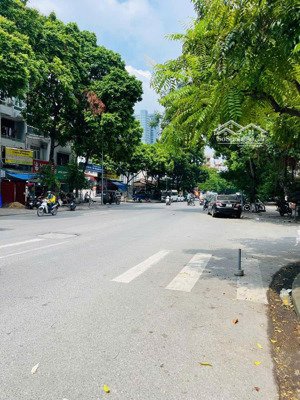 bán nhà trần quốc hoàn, cầu giấy 60m² x 5t x mt 4m8 x giá 20.5 tỷ. phân lô vip, gara ô tô, kd đỉnh