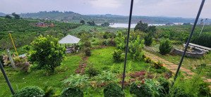 chính chủ bán nhà vườn 6.000m2, khu du lịch sinh thái hồ phúc thọ