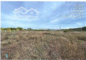 công ty đấu giá hợp danh đông nam thông báo đấu giá tài sản