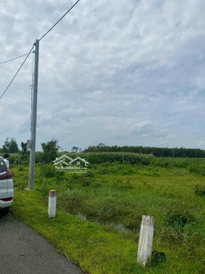 qsdđ thuộc thửa đất số 689, tờ bản đồ số 116 tại xã nghĩa thành, thành phố hồ chí minh